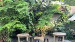 Terbaru! Kafe di BSD yang Punya Kolam dengan Nuansa Asri Teduh