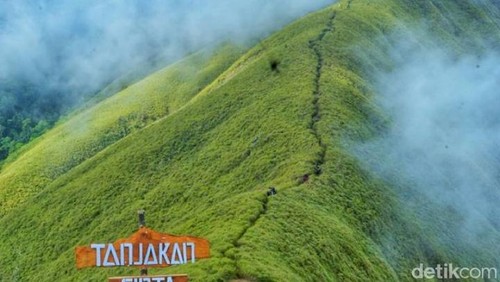 Bukit Anak Dara di Sembalun, Lombok Timur, NTT.