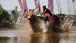 Melihat Keseruan Lomba Karapan Sapi Brujul di Probolinggo
