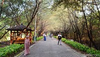 Untuk tiket masuk ke Kebun Raya Mangrove Surabaya sebesar Rp 10.000 per orang untuk usia dewasa dan Rp 5.000 per orang untuk anak-anak dengan ketentuan tinggi badan tak melebihi 100 cm.