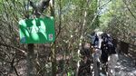 Menikmati  Akhir Pekan di Kebun Raya Mangrove Surabaya