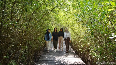Menikmati  Akhir Pekan di Kebun Raya Mangrove Surabaya