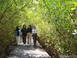 Menikmati  Akhir Pekan di Kebun Raya Mangrove Surabaya