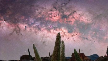 The Tajinaste hasil jepretan Maximilian Höfling. Foto ini diambil di Mirador El Tabonal Negro di Tenerife, Spanyol. Foto: Maximilian Höfling/Milky Way Photographer of the Year
