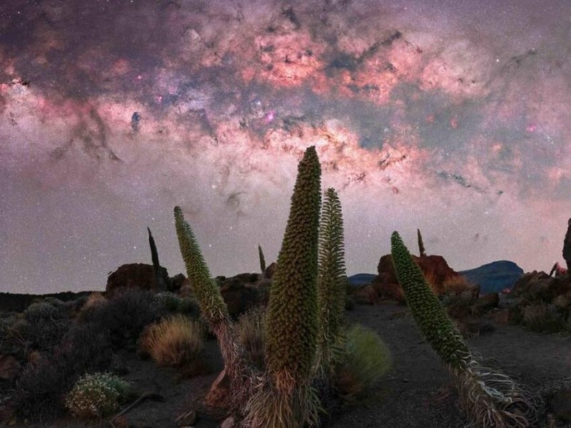 Milky Way Photographer of the Year 2024