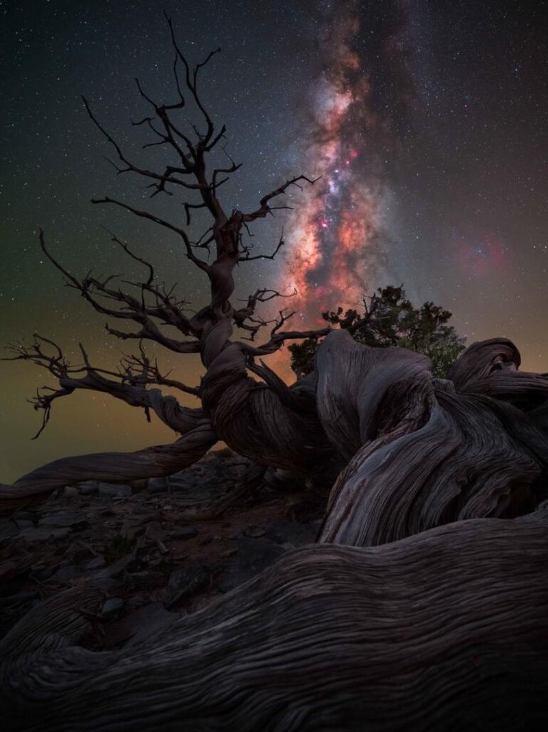 Milky Way Photographer of the Year 2024