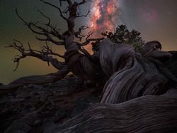 Foto Cantik Bima Sakti Dipotret dari Seluruh Dunia