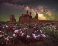 Milky Way Photographer of the Year 2024