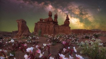 Desert Bloom karya Marcin Zajac. Foto ini diambil di Taman Nasional Lembah Goblin di negara bagian Utah, Amerika Serikat. Foto: Marcin Zajac/Milky Way Photographer of the Year