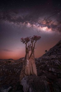 Milky Way Photographer of the Year 2024