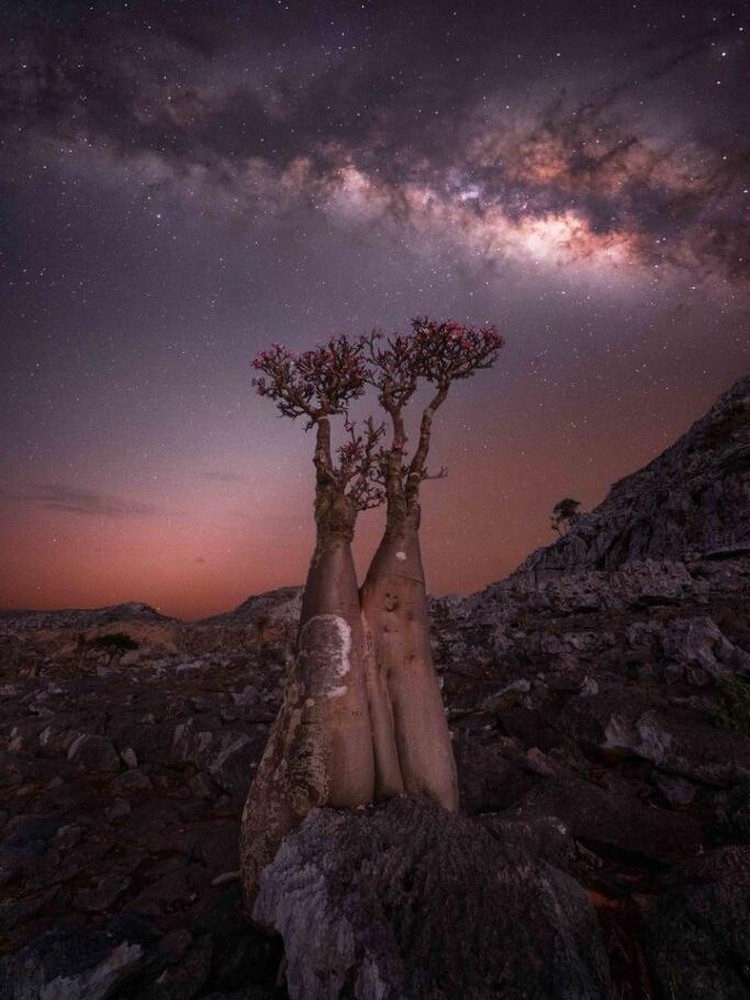 Milky Way Photographer of the Year 2024