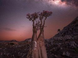 Foto Cantik Bima Sakti Dipotret dari Seluruh Dunia