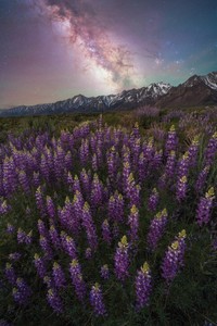Milky Way Photographer of the Year 2024