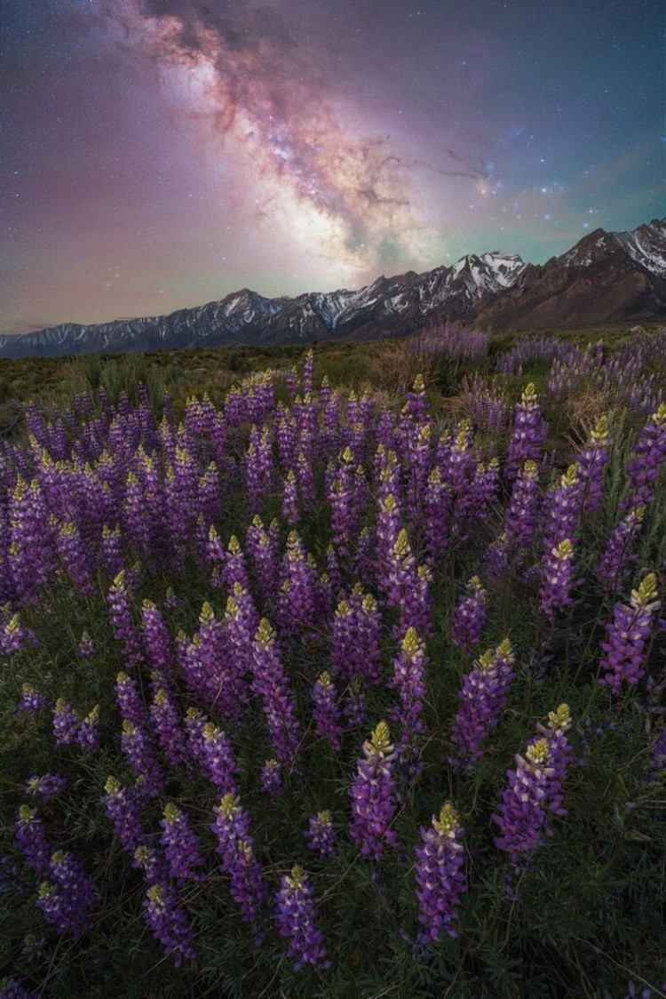 Milky Way Photographer of the Year 2024