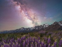 Milky Way Photographer of the Year 2024