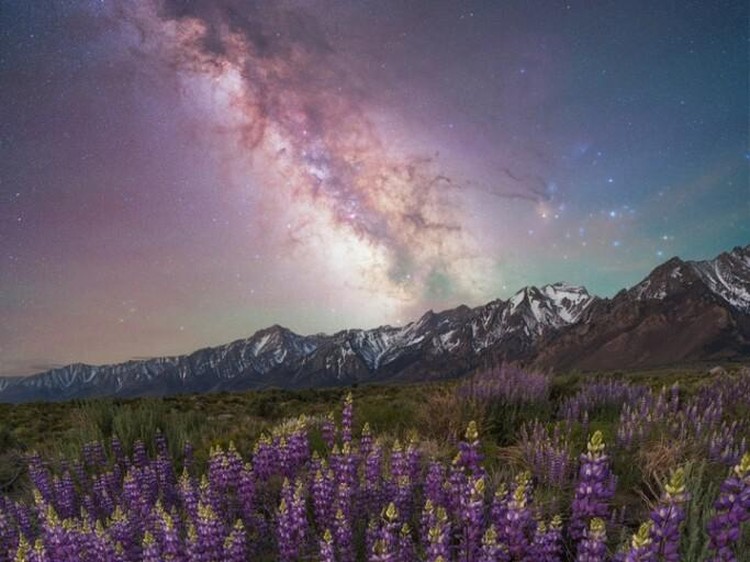 Milky Way Photographer of the Year 2024