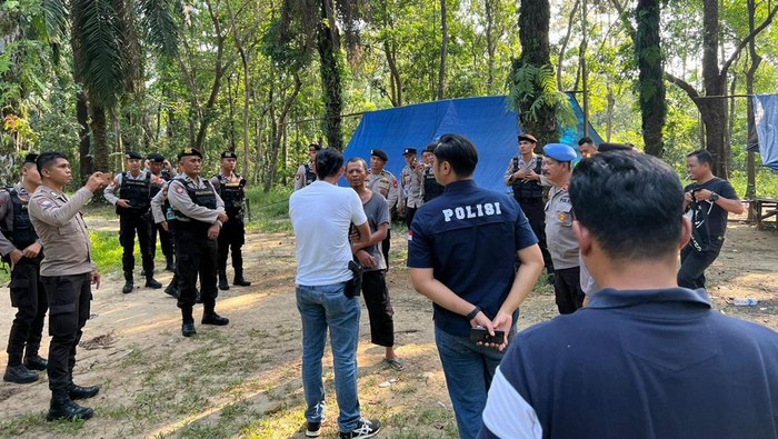 Polisi bongkar tempat sabung ayam di Muara Enim.