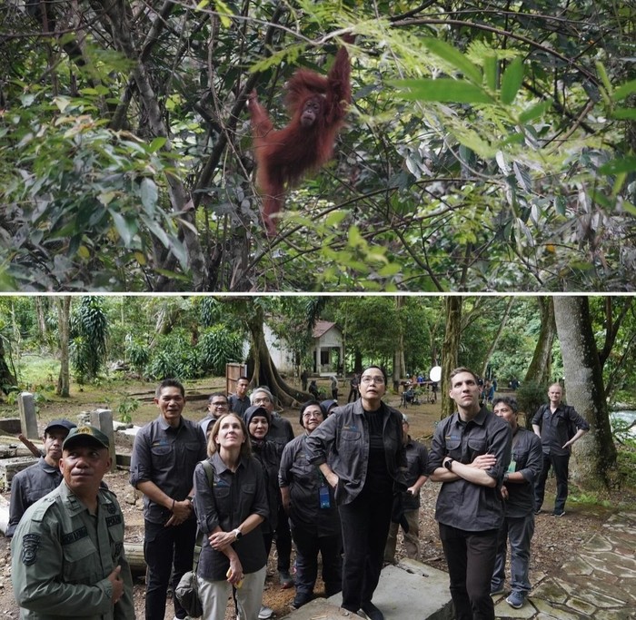 Rombongan Menkeu dan Menteri LHK di Bukit Lawang. (Instagram @smindrawati)