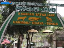 Koleksi Satwa di Taman Rimba Jambi, Ada Harimau hingga Buaya Senyulong