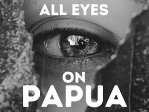 #AllEyesonPapua, Ribuan Orang Dukung Petisi Selamatkan Hutan Papua