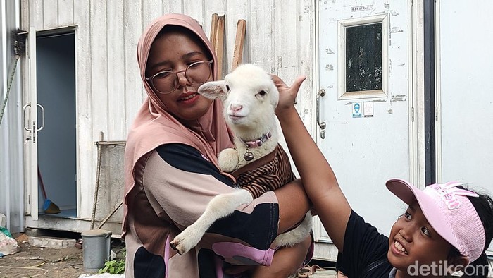 Anak kambing atau cempe milik Irna Tri Wijayanti, bidan asal Kulon Progo, Senin (3/6/2024). Cempe ini diasuh seperti layaknya bayi oleh pemiliknya.