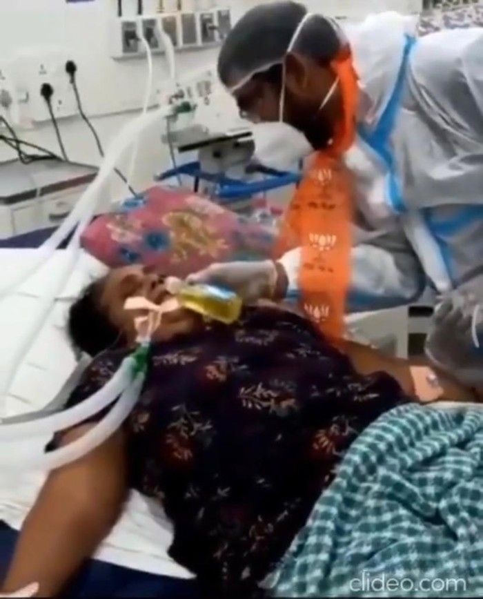 Aneh! 5 Asupan Ini Dipercaya Sebagai Obat Mujarab, Air Kencing Sapi dan Disinfektan