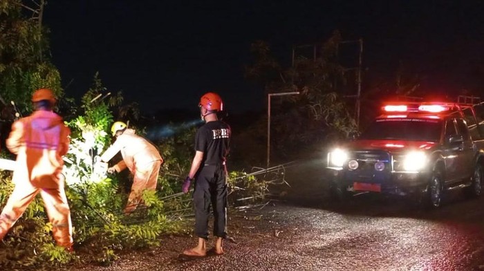 BPBD Lamongan mengevakuasi pohon tumbang imbas hujan deras angin kencang.