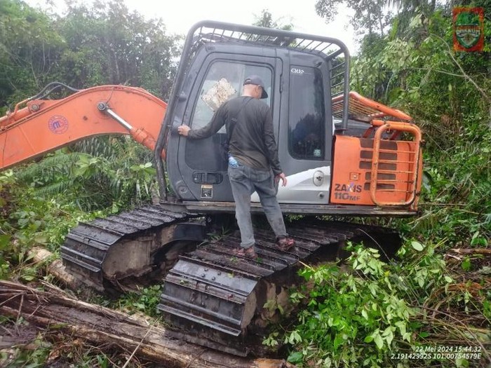 Bukti Perusak Hutan