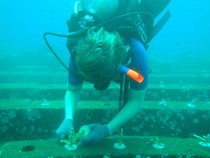 Desa Les Tejakula Masuk 50 Besar ADWI 2024