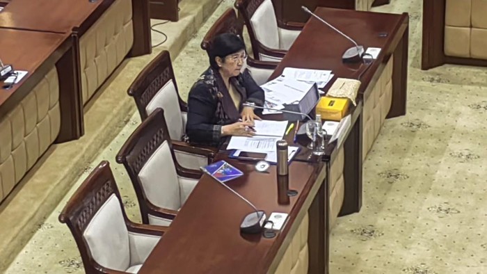 Destry Damayanti Calon Deputi Gubernur Senior BI
