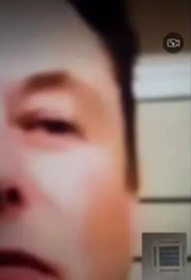 Elon Musk AI