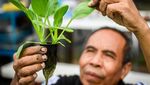 Intip Green House Poktan Petapa di Pancoran Jaksel