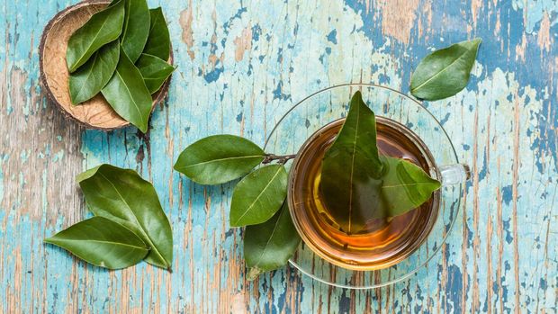 Ilustrasi teh daun salam