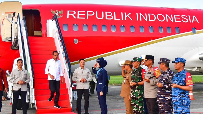 Presiden Jokowi Tinjau Proyek IKN Dipandu Pimpinan Otorita Sementara