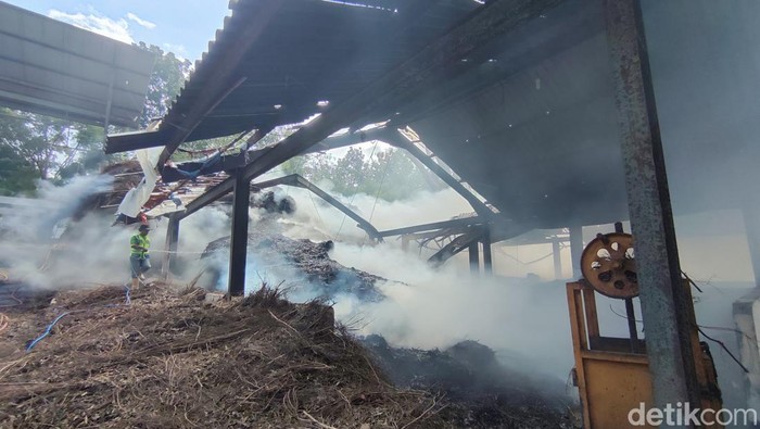 Kebakaran gudang kayu putih di Hutan Bunder, Gunungkidul, Senin (3/6/2024).