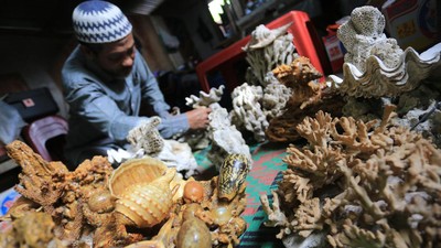 Potret Kerajinan Fosil Bunga Karang Laut di Aceh Barat