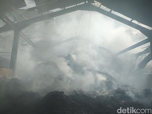 Gudang Kayu Putih di Hutan Bunder Gunungkidul Terbakar