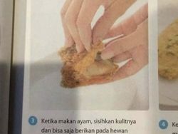 Kumpulan Hal Random di Medsos, Mana yang Paling Ajaib?