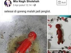 Kumpulan Hal Random di Medsos, Mana yang Paling Ajaib?