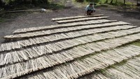 Pekerja menjemur tusuk sate dari bambu di Desa Meninjo, Kecamatan Ranuyoso, Lumajang, Jawa Timur, Senin (3/6/2024).