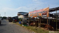 Pedagang hewan kurban nampak sudah mendirikan tenda-tenda dikawasan Jalan Ir Soekarno, Gunung Anyar.