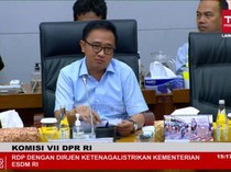 Pimpinan Komisi VII DPR Singgung Artis yang Pakai Gas LPG 3 Kg