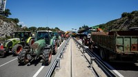 UE yang beranggotakan 27 negara telah melemahkan beberapa bagian dari kebijakan lingkungan hidup utama mereka, yaitu Kesepakatan Hijau, dan menghapus tujuan pengurangan emisi pertanian dari peta jalan iklim 2040 mereka. REUTERS/Albert Gea  