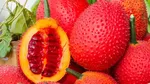 10 Buah Paling Langka di Dunia, Ada yang Hanya Ada di Indonesia!