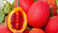 Gac Fruit adalah buah eksotis yang tumbuh di Vietnam. Warnanya merah merona, bentuknya mirip markisa, tetapi banyak yang menyebut rasanya menyerupai melon. Foto: Food Box HQ
