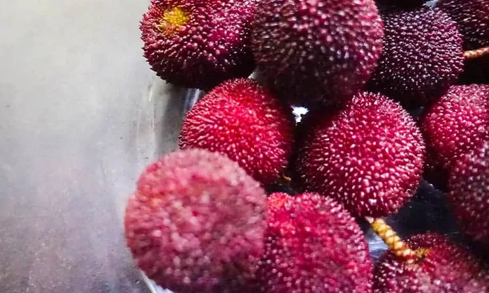 Buah paling langka di dunia Buah paling langka di dunia