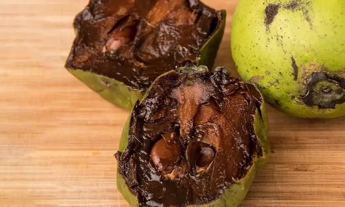 Buah paling langka di dunia