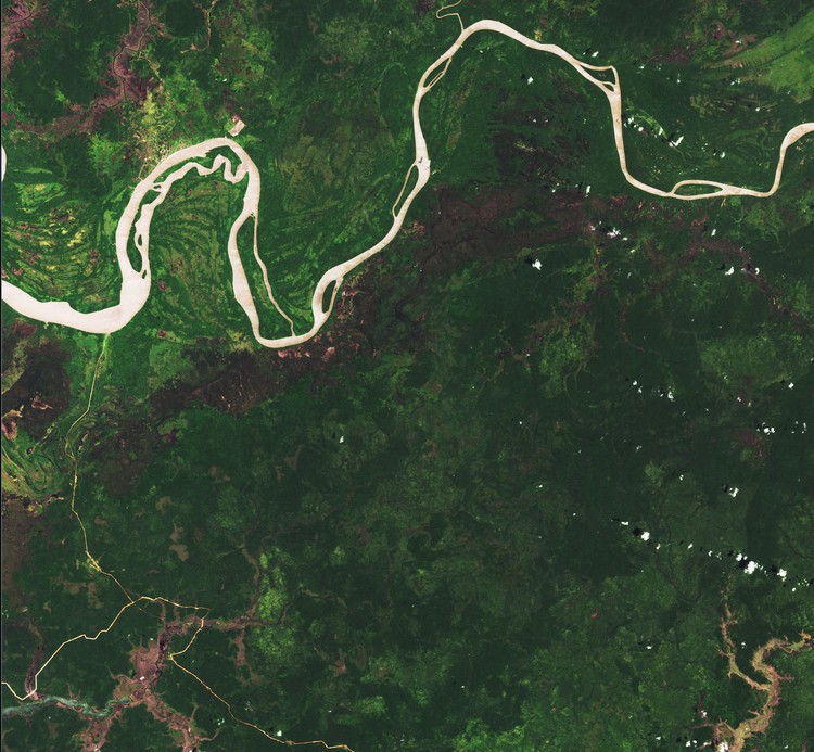 Deforestasi