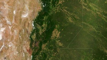 Gambar di atas menunjukkan sebagian hutan di Provinsi Salta, Gran Acho, Argentina tahun 2000. Gran Chaco, telah mengalami deforestasi selama bertahun-tahun untuk pembangunan pertanian. Foto: via Live Science