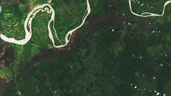 Antara tahun 2001 hingga 2020, Papua telah kehilangan sekitar 1,7 juta hektar tutupan pohon, yang setara dengan sekitar 546 juta ton emisi CO2. Gambar ini menunjukkan pembukaan hutan luas di sekitar Sungai Digul di Papua, Indonesia diambil pada 20 November 2002. Bandingkan dengan foto berikutnya. Foto: Landsat via Live Science